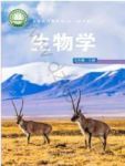 上册