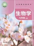 上册