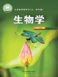 下册