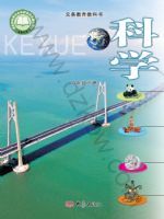 2025年教材课本六年级科学下册大象版