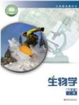 上册