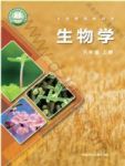 上册