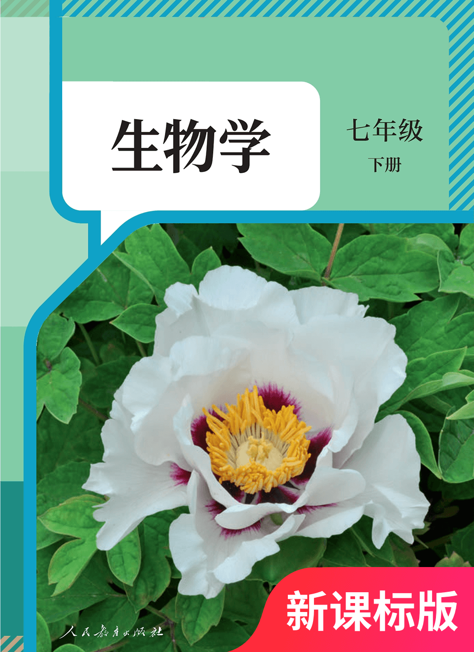 2026年教材课本七年级生物下册人教版