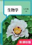 下册