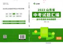 2024年正大圖書中考試題匯編英語(yǔ)山東專版