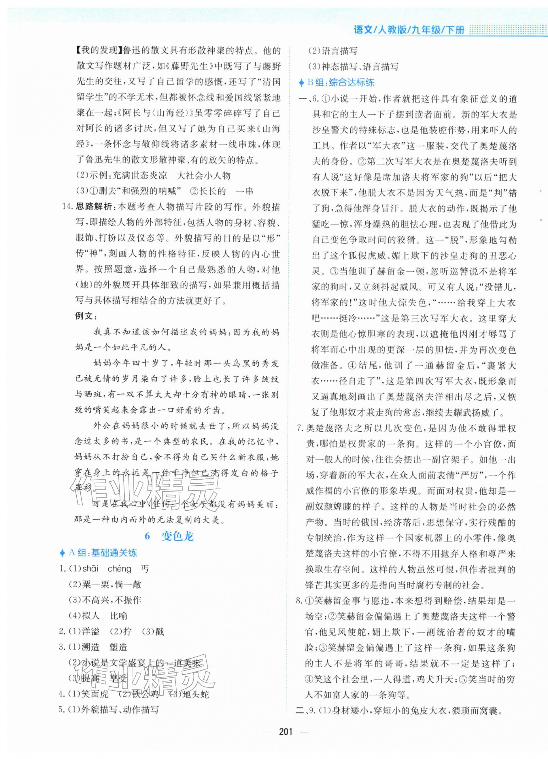 2026年新编基础训练九年级语文下册人教版&nbsp;第5页
