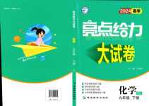 2024年亮點(diǎn)給力大試卷九年級(jí)化學(xué)下冊(cè)人教版