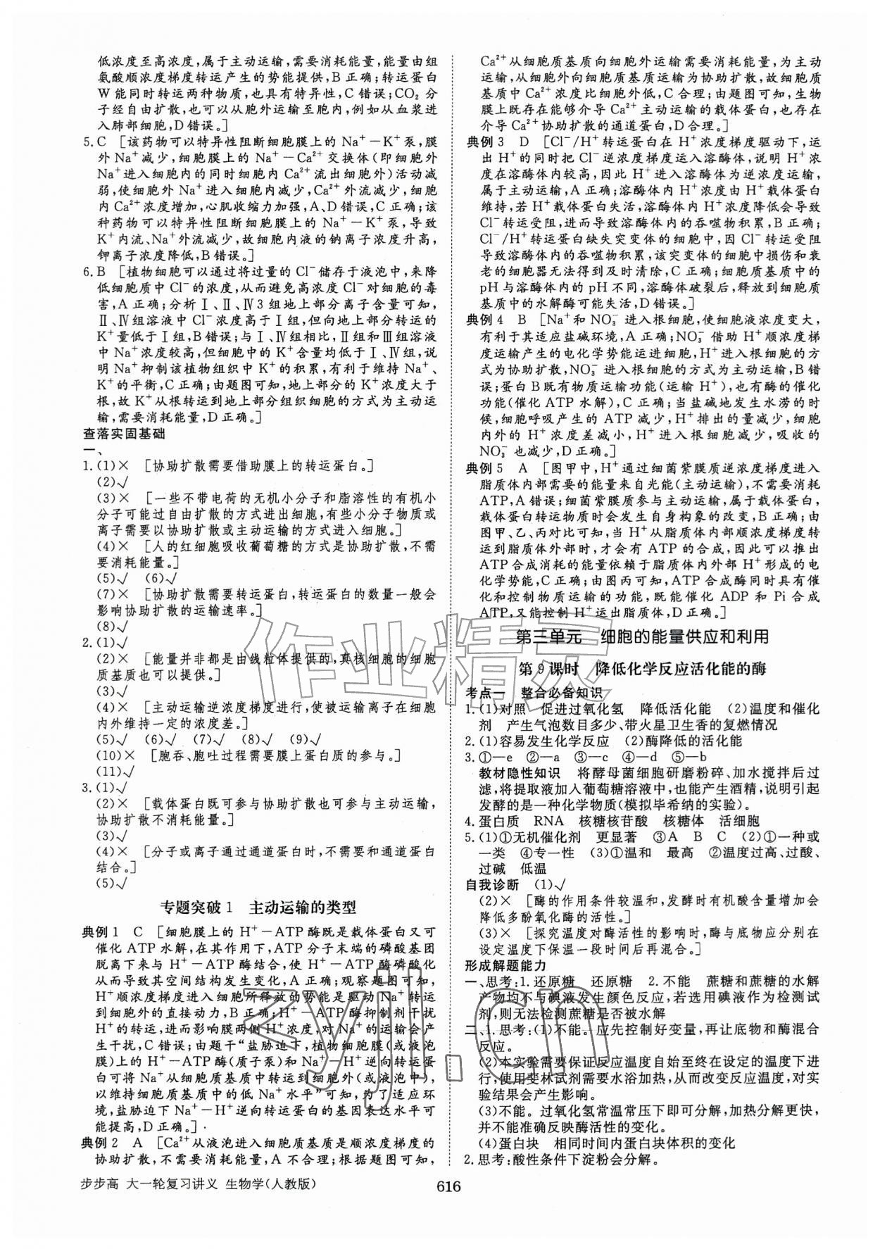 2026年步步高大一轮复习讲义高中生物人教版&nbsp;第8页