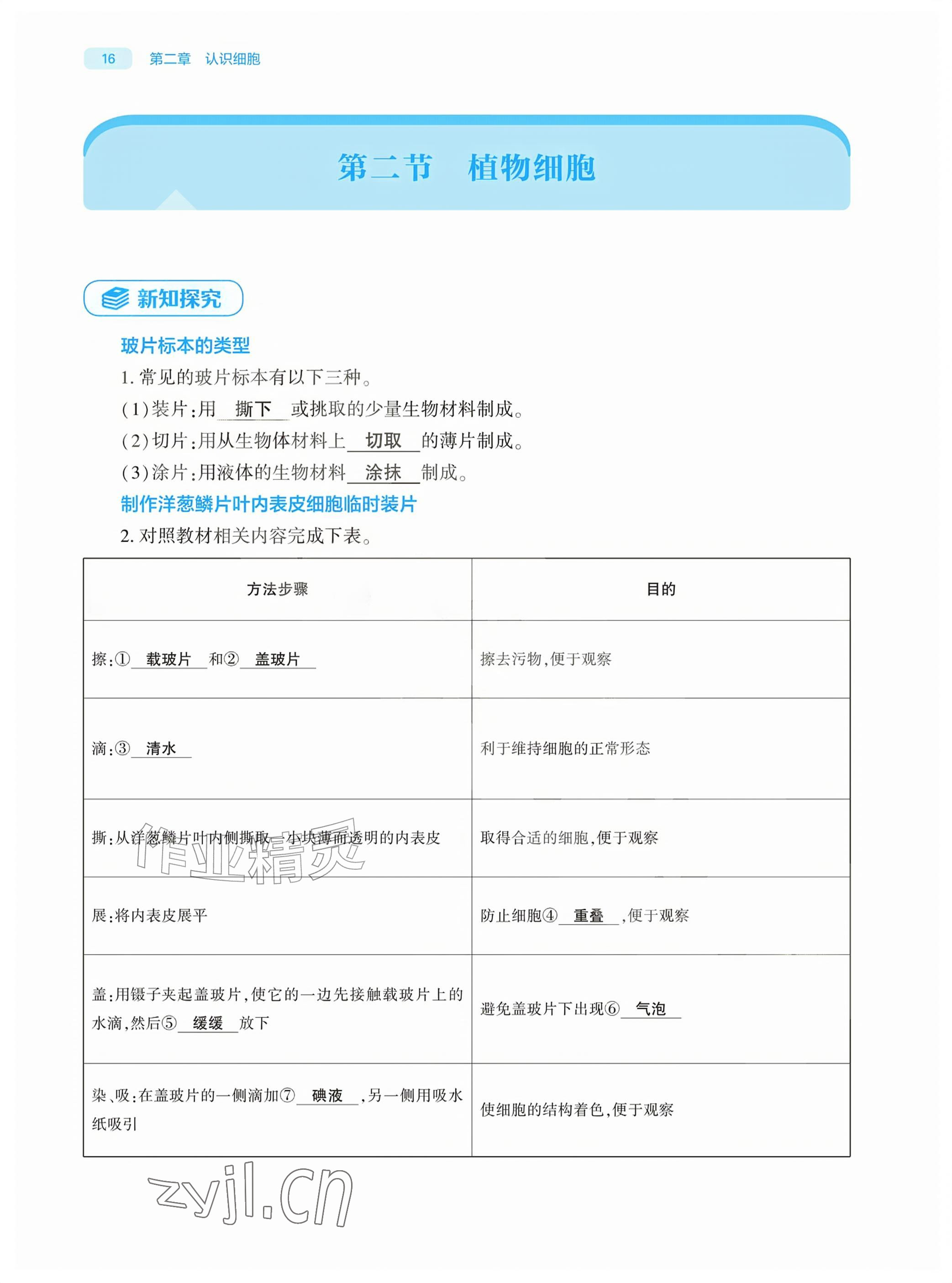 2026年基础训练大象出版社七年级生物上册人教版&nbsp;参考答案第16页