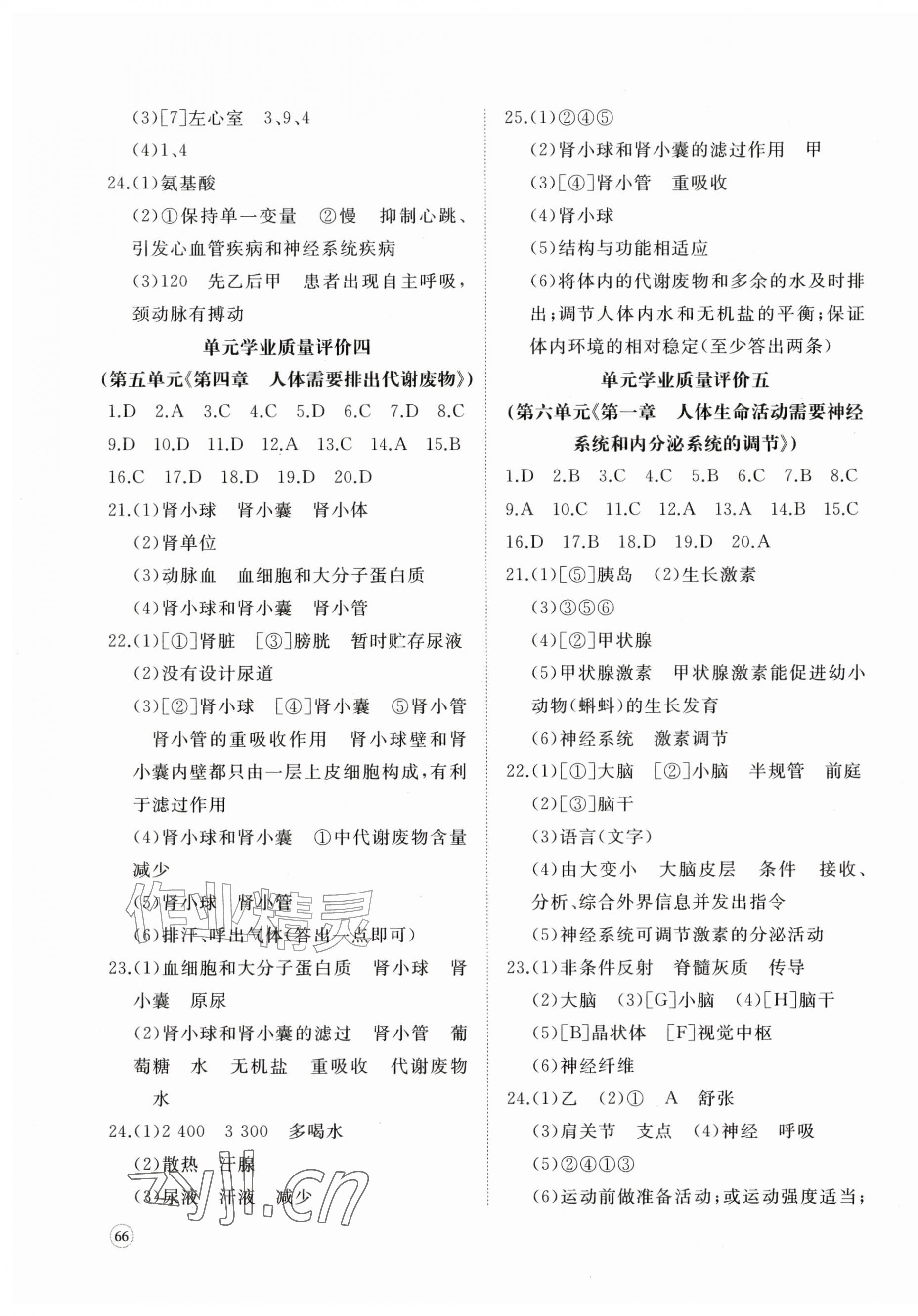 2026年精练课堂分层作业八年级生物上册济南版&nbsp;第3页