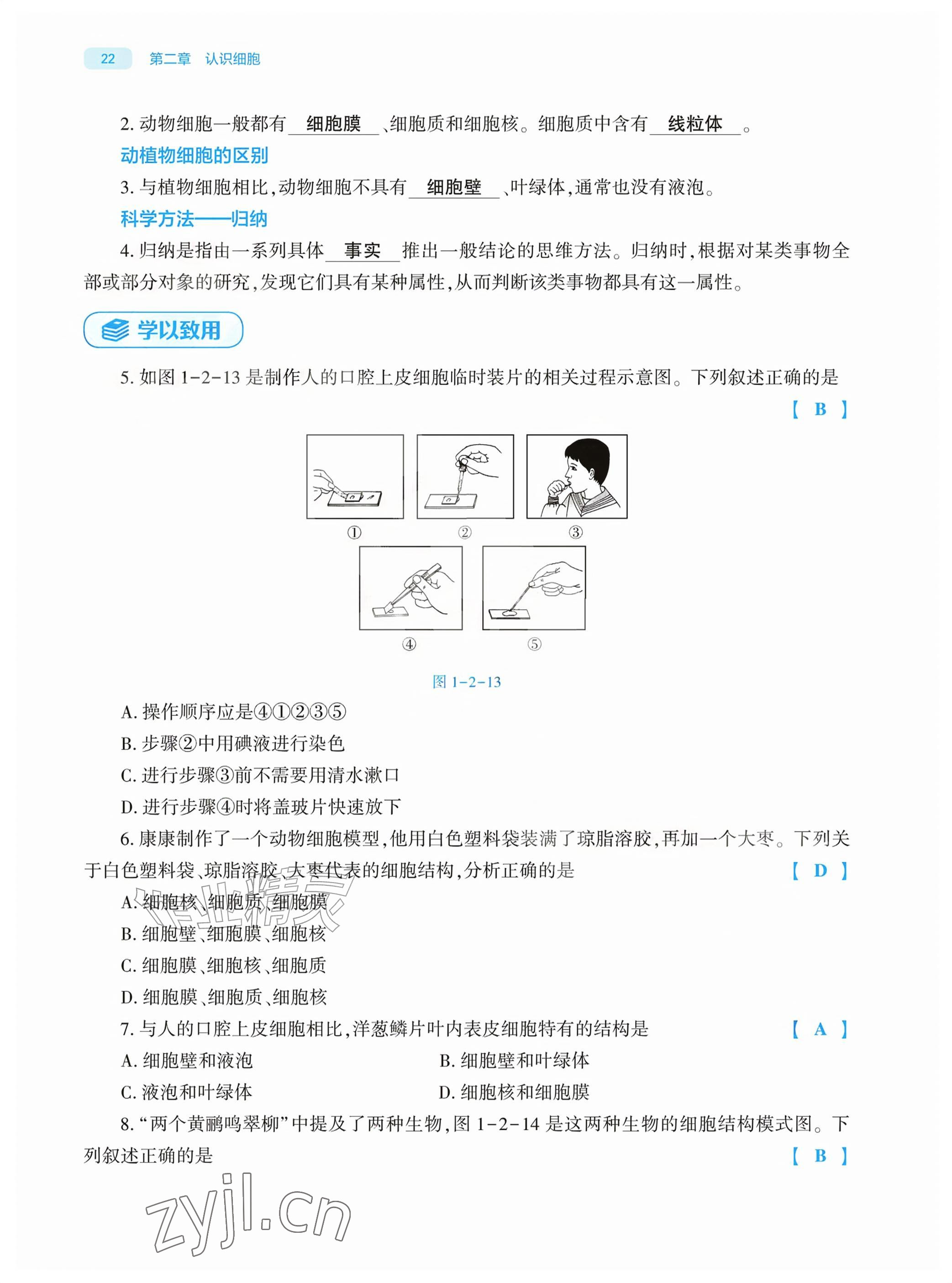 2026年基础训练大象出版社七年级生物上册人教版&nbsp;参考答案第22页