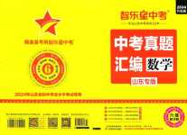 2024年智樂(lè)星中考中考真題匯編數(shù)學(xué)山東專版
