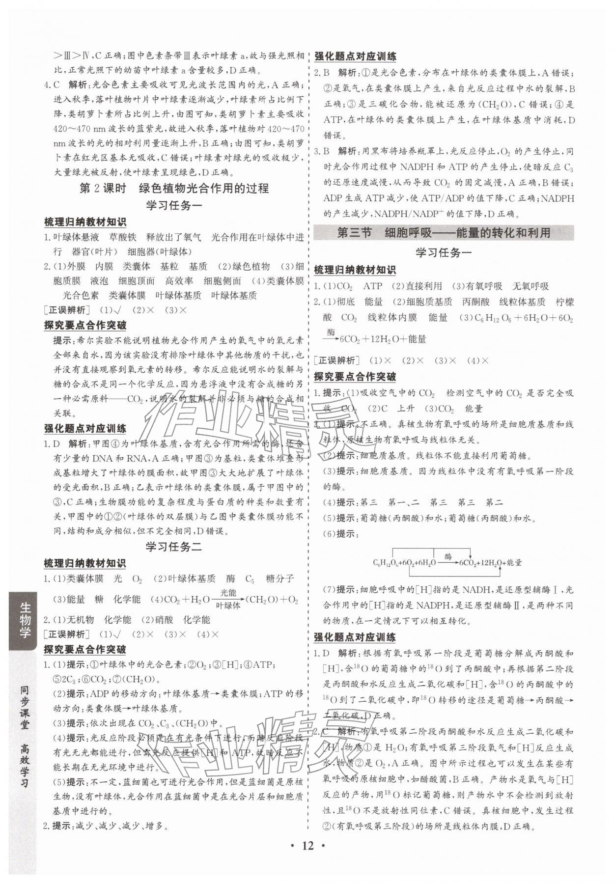 2025年凤凰易学案高中生物必修第一册苏教版&nbsp;第12页