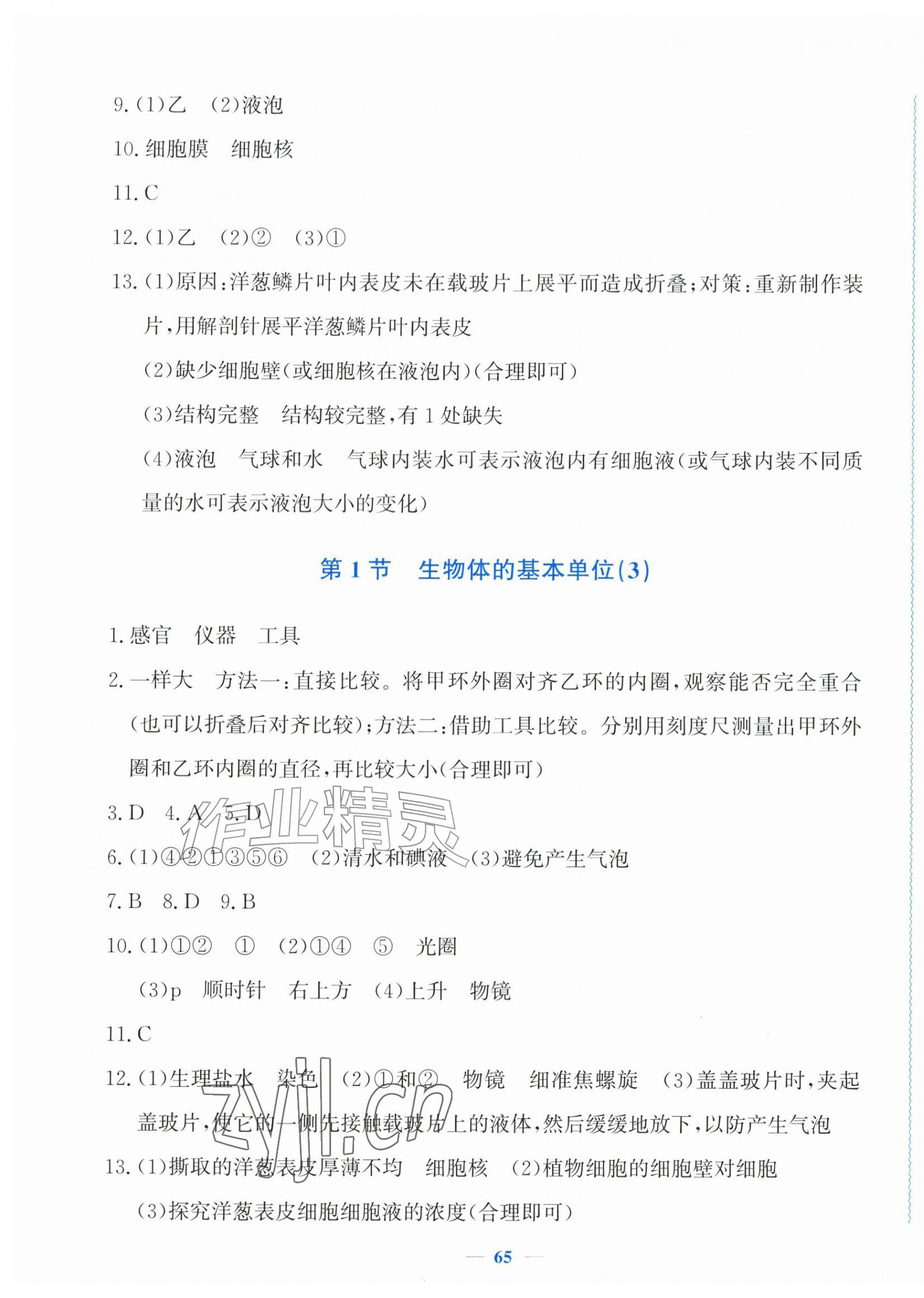 2026年学习力提升七年级科学上册浙教版&nbsp;第5页