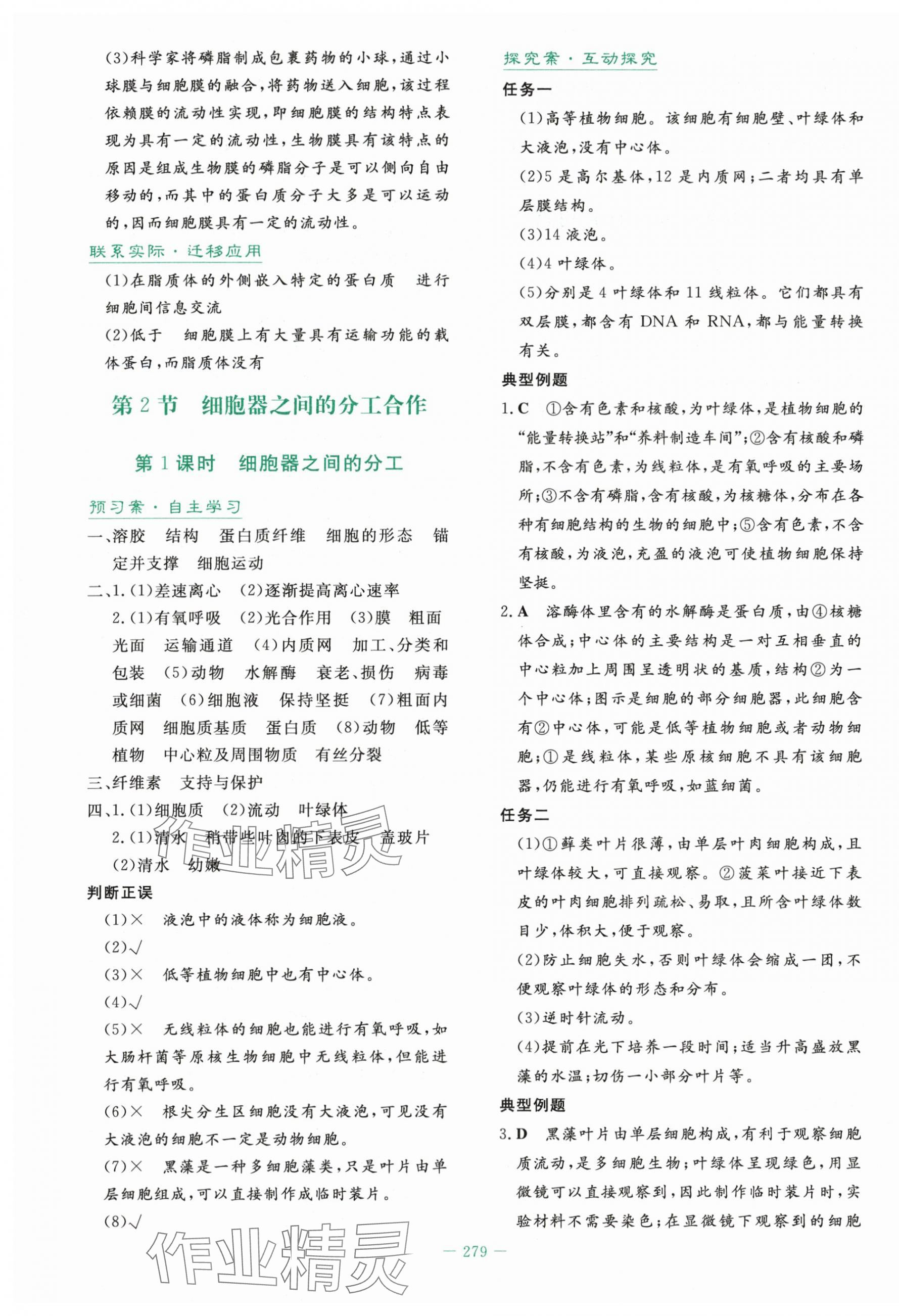 2025年自主学习能力测评导与练高中生物必修1人教版&nbsp;第13页