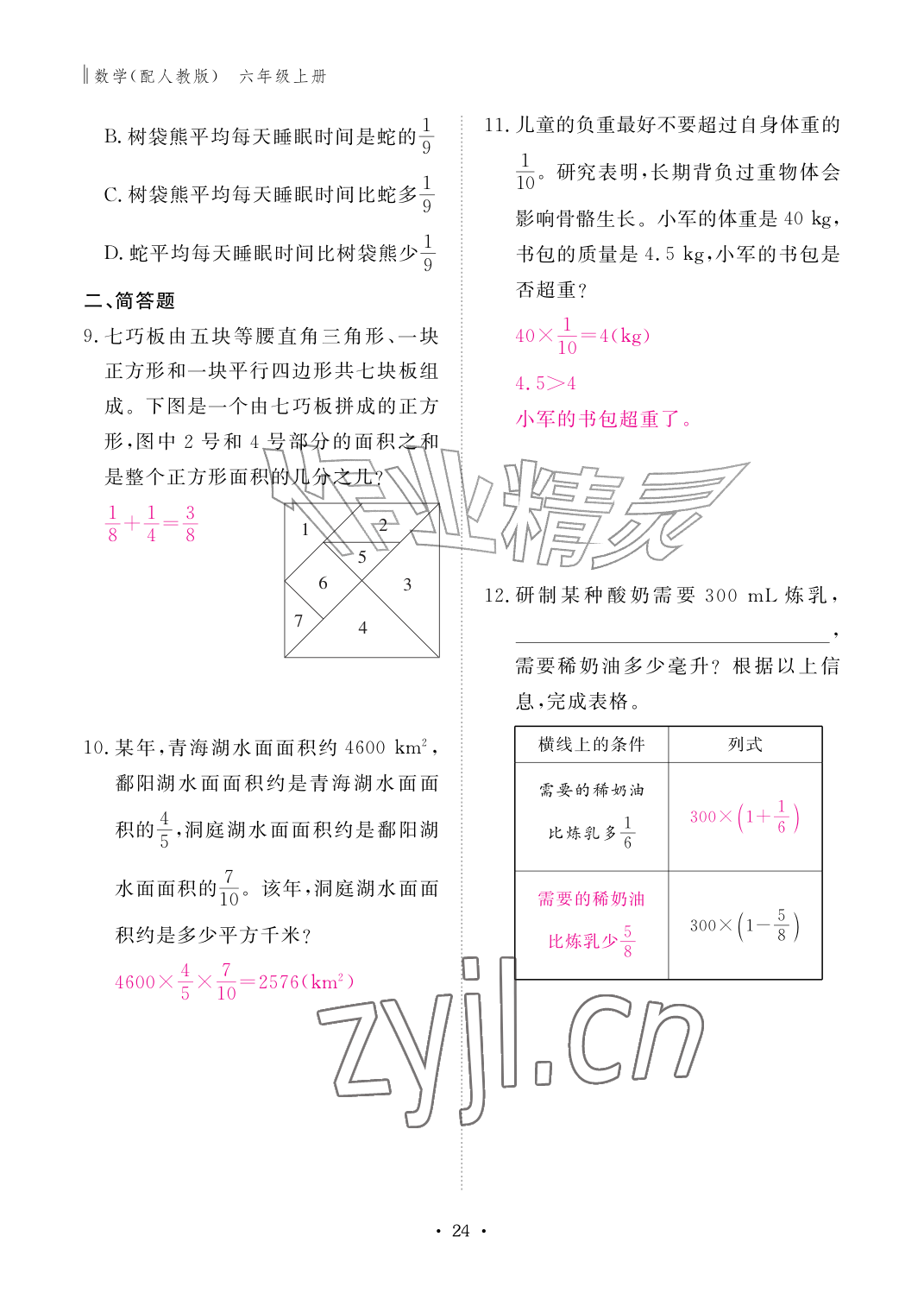 2026年作业本江西教育出版社六年级数学上册人教版&nbsp;第24页