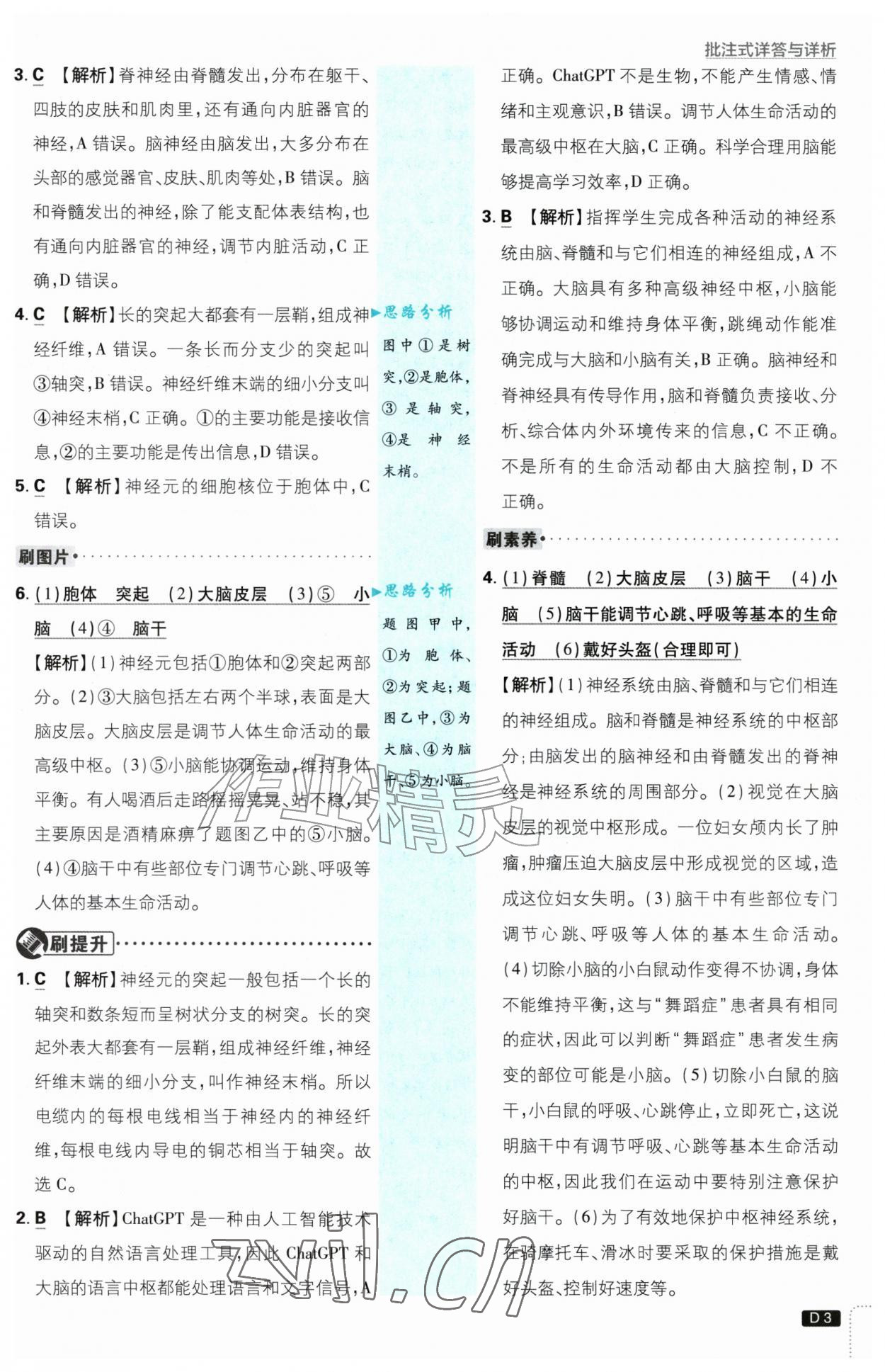 2026年初中必刷题八年级生物上册人教版&nbsp;第3页