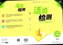 2024年通城學(xué)典活頁檢測九年級物理下冊蘇科版