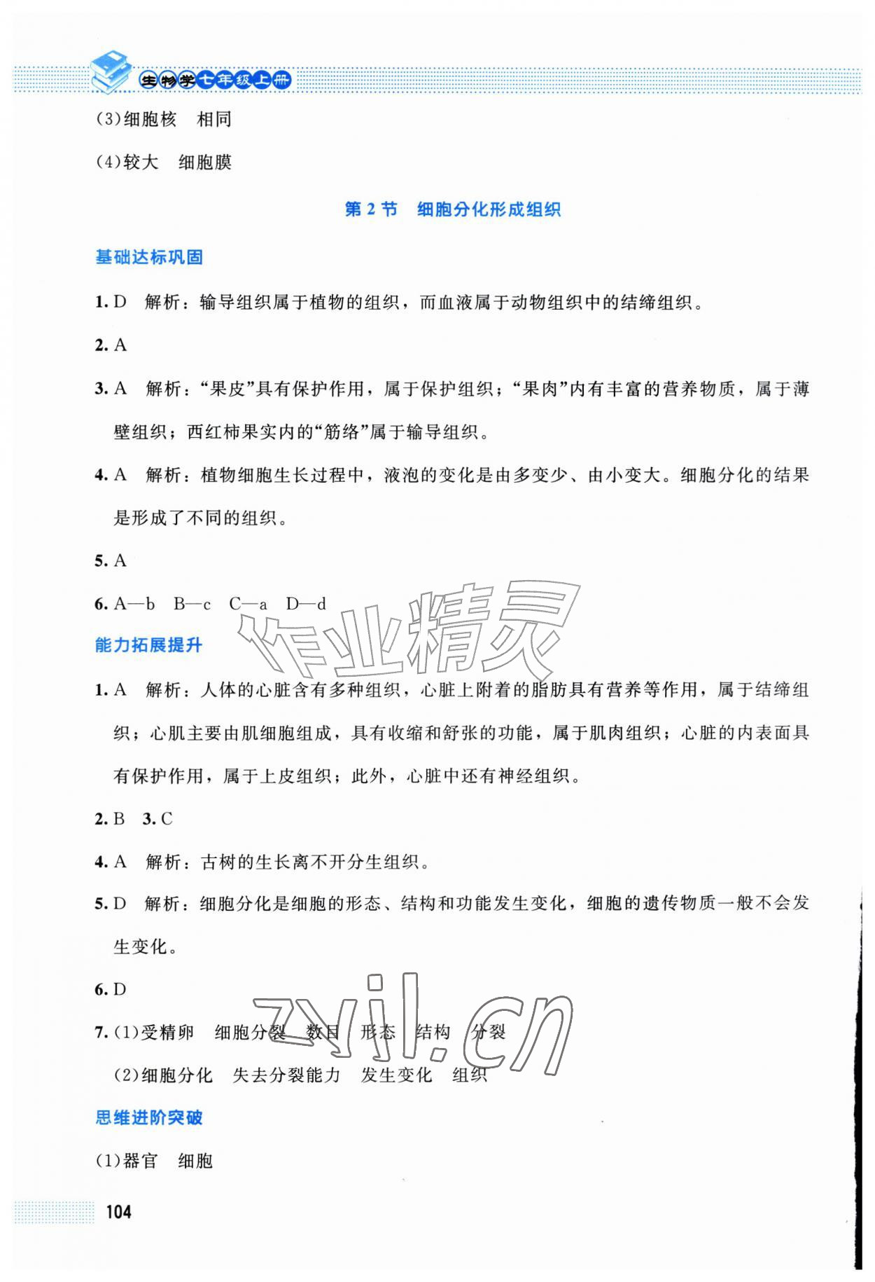 2026年课堂精练七年级生物上册北师大版福建专版&nbsp;第12页