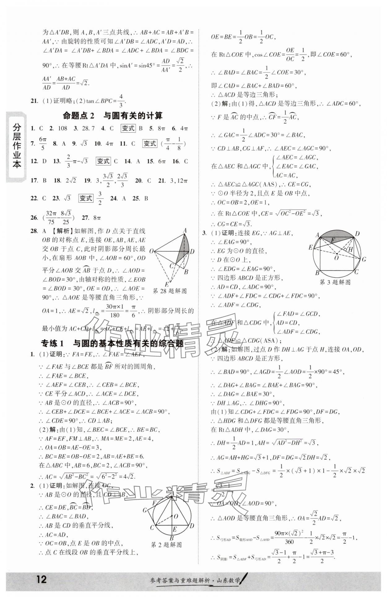 2025年一战成名考前新方案数学山东专版&nbsp;参考答案第11页