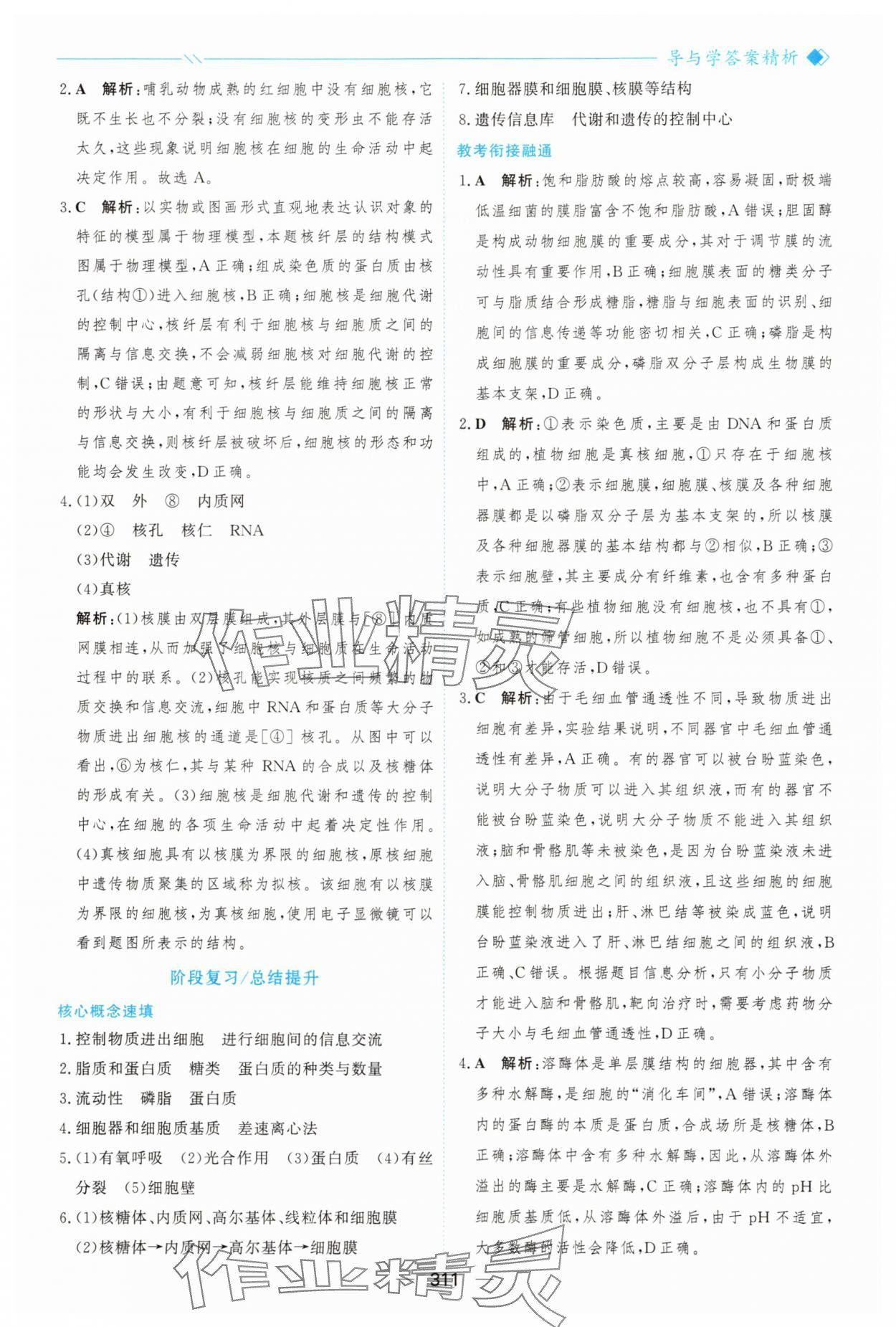 2025年新课程学习与测评高中生物必修1人教版&nbsp;参考答案第22页