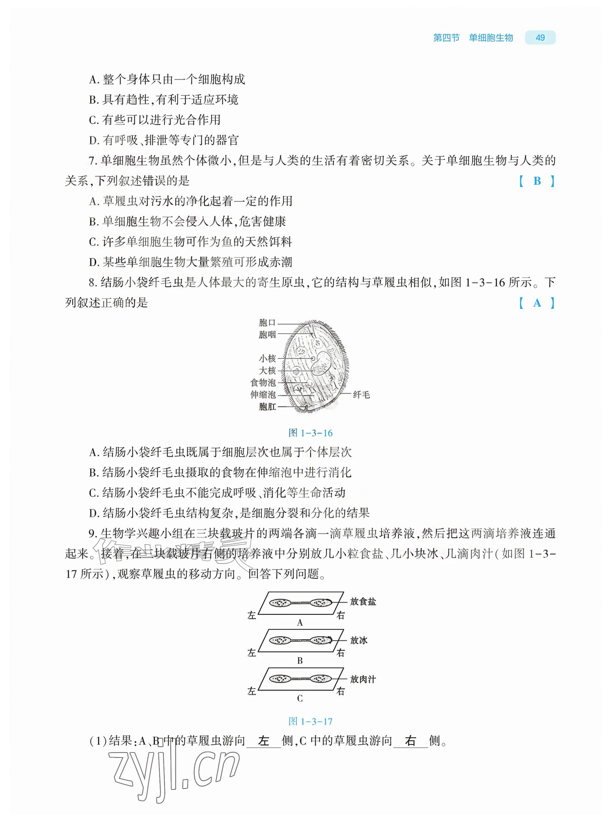 2026年基础训练大象出版社七年级生物上册人教版&nbsp;参考答案第49页