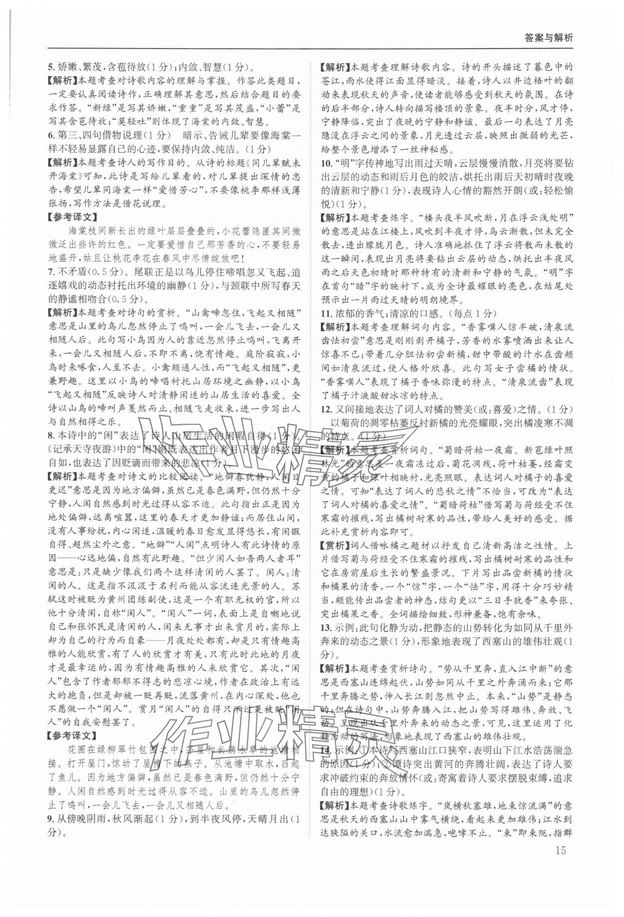 2025年实至中考核心考点精编语文中考成都专版&nbsp;第15页