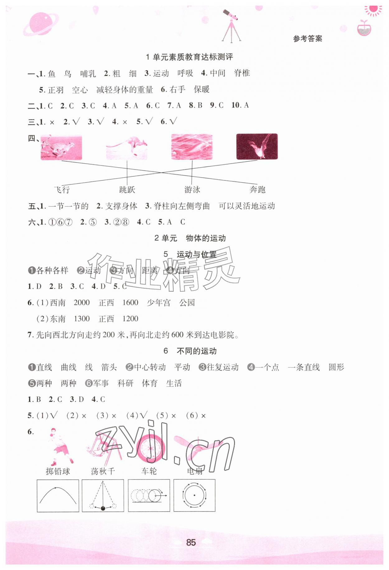 2026年同步素养进阶四年级科学上册苏教版&nbsp;第3页