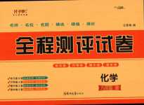 2024年全程测评试卷九年级化学全一册