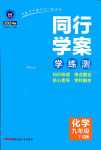 2024年同行學(xué)案九年級(jí)化學(xué)下冊(cè)魯教版