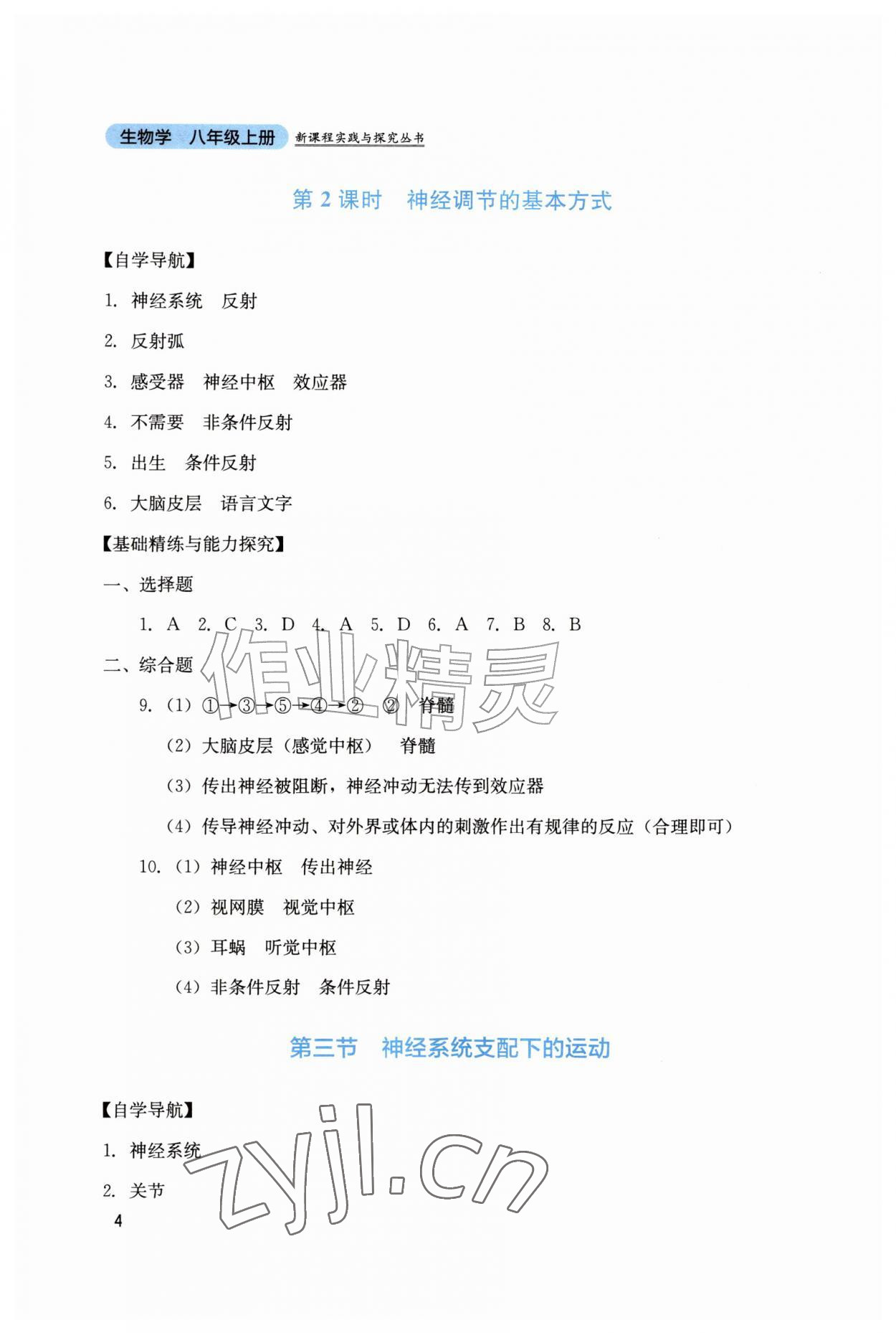 2026年新课程实践与探究丛书八年级生物上册人教版&nbsp;第4页