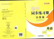 2024年同步練習冊分層卷九年級英語下冊外研版