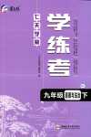 2024年七天學(xué)案學(xué)練考九年級道德與法治下冊人教版