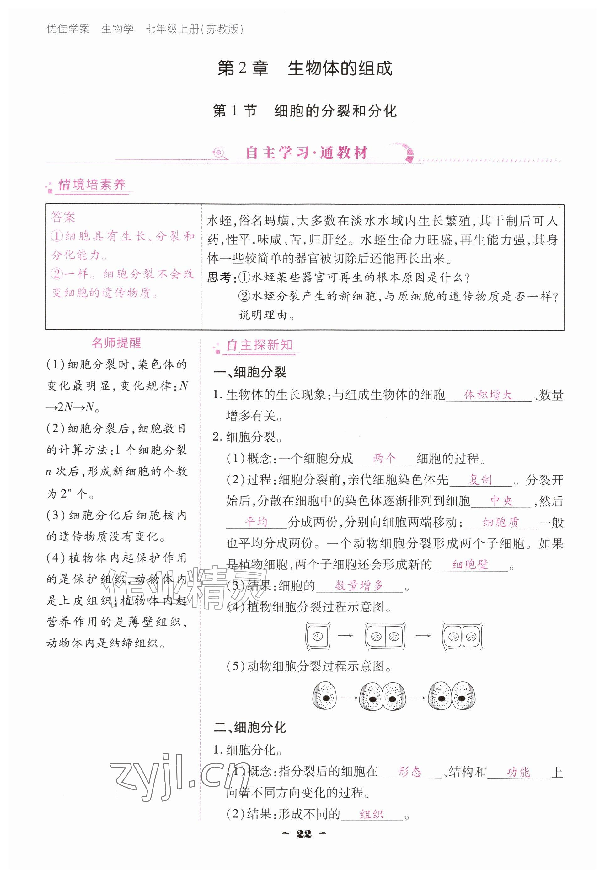 2026年云南省标准教辅优佳学案七年级历史上册人教版&nbsp;参考答案第22页