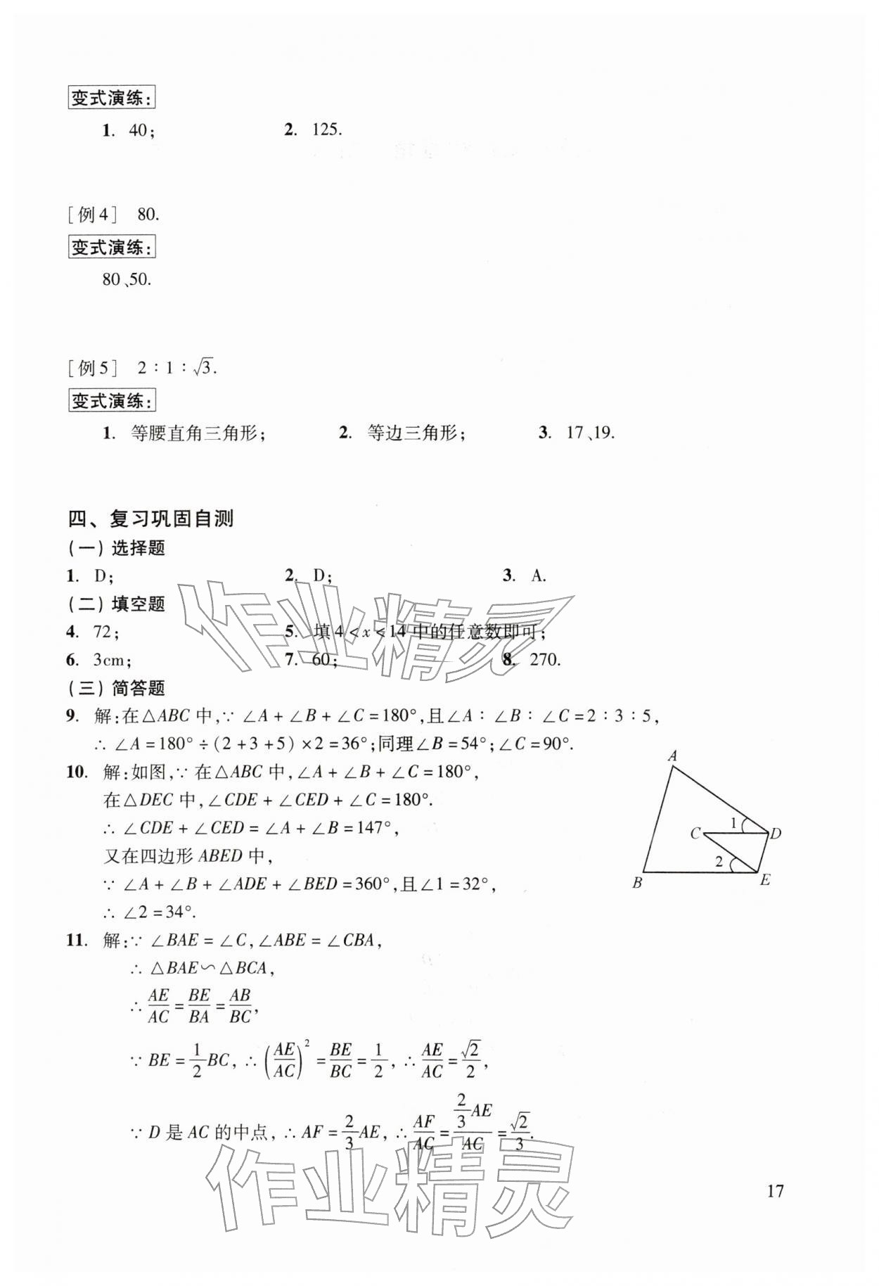 2026年初中数学复习点要初三总复习&nbsp;参考答案第17页