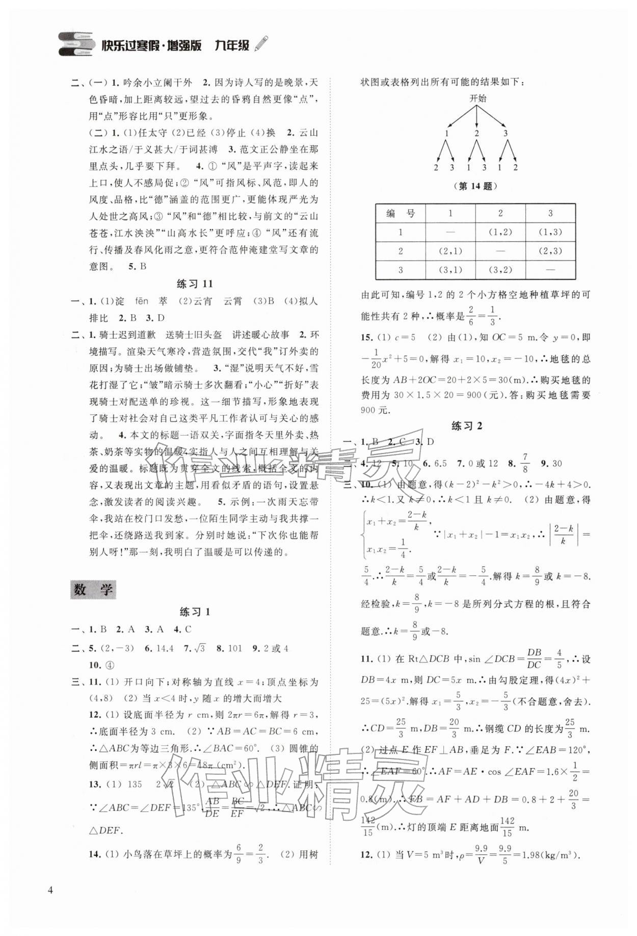2026年快乐过寒假九年级增强版江苏凤凰科学技术出版社&nbsp;参考答案第3页