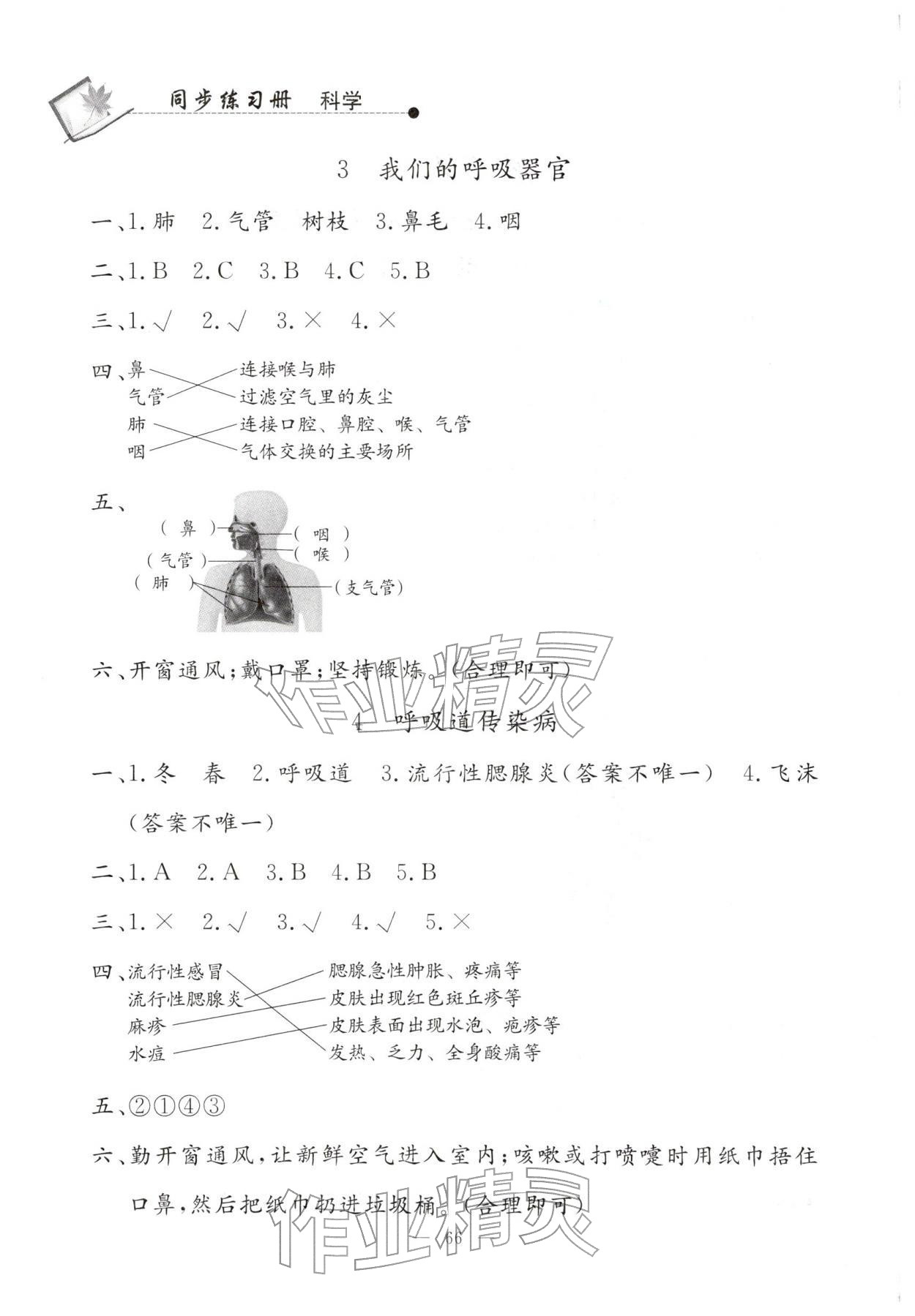 2026年同步练习册山东科学技术出版社三年级科学下册青岛版&nbsp;第2页