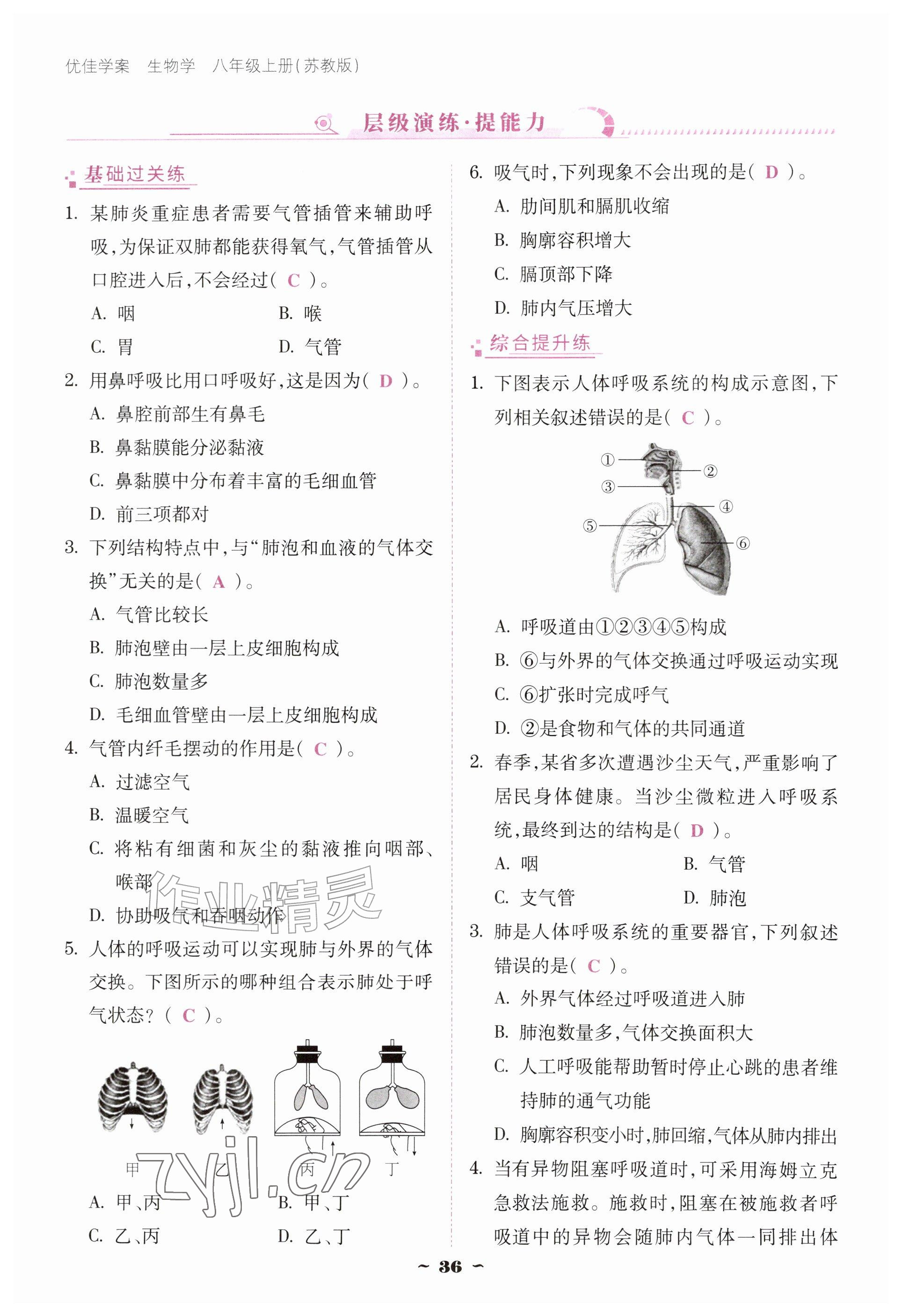 2026年优佳学案（云南）八年级生物上册苏教版&nbsp;参考答案第36页