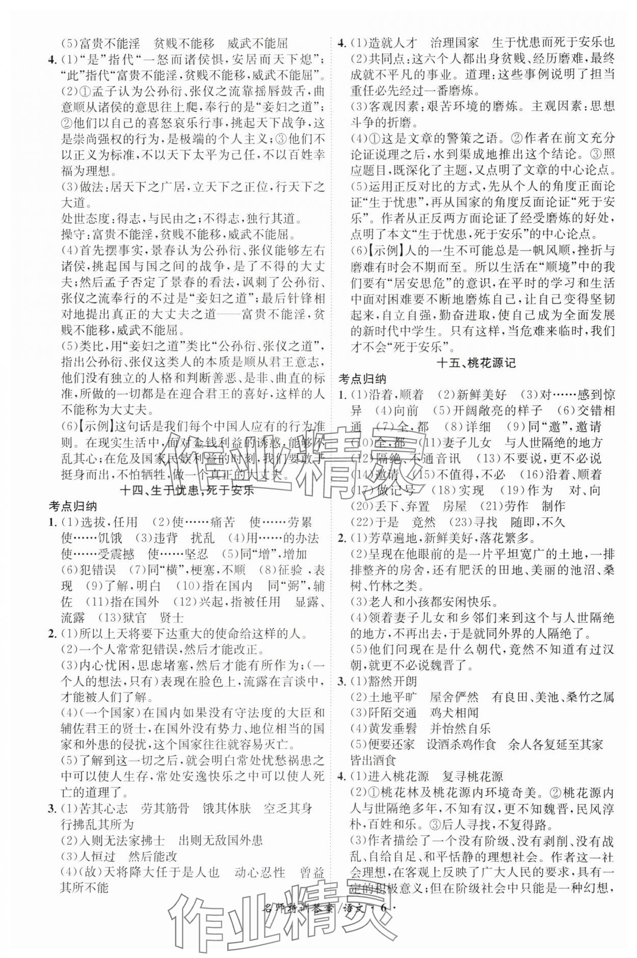 2024年名师特训语文安徽专版&nbsp;第6页