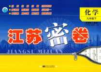 2024年江苏密卷九年级化学下册沪教版