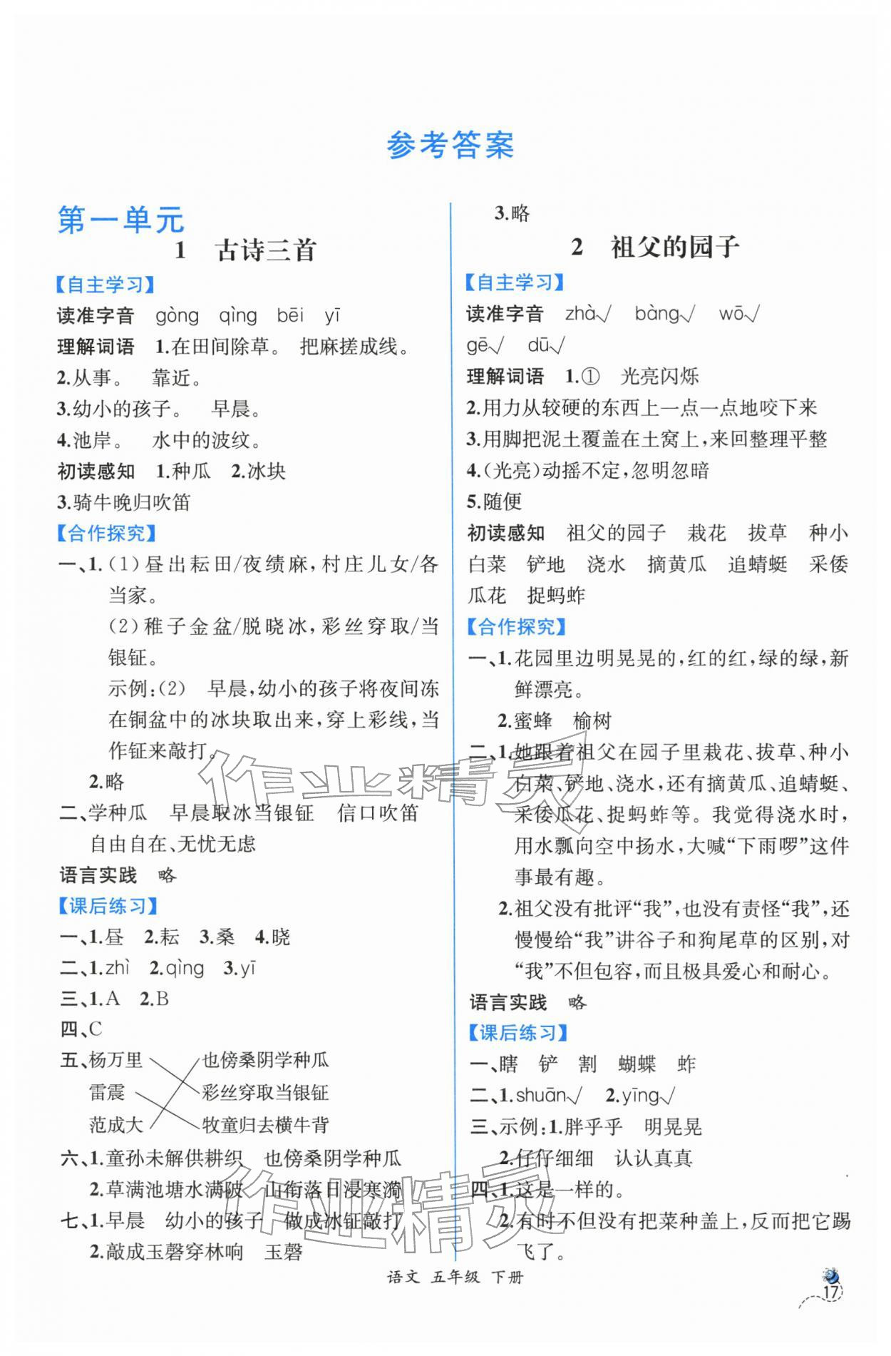 2026年人教金学典同步解析与测评五年级语文下册人教版云南专版&nbsp;第1页