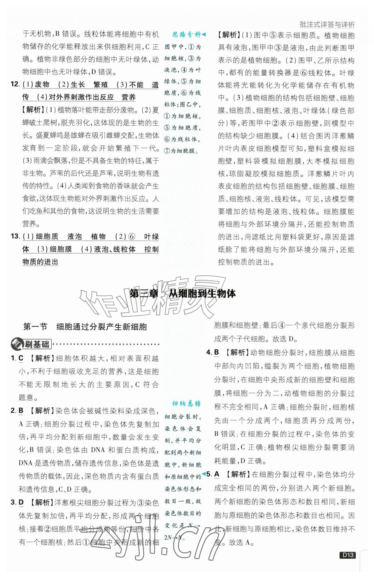2026年初中必刷题七年级生物上册人教版&nbsp;第13页