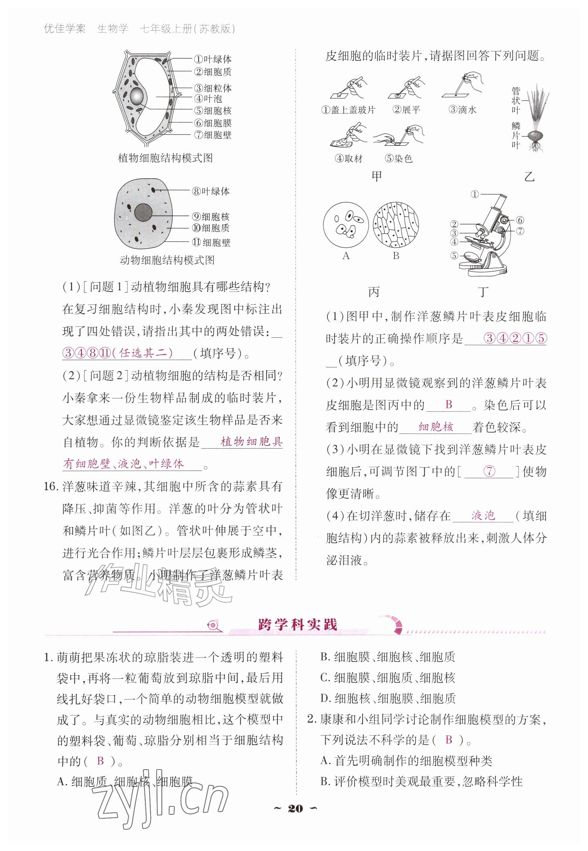 2026年云南省标准教辅优佳学案七年级历史上册人教版&nbsp;参考答案第20页