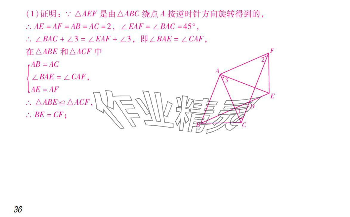 2024年激智数学中考&nbsp;参考答案第36页
