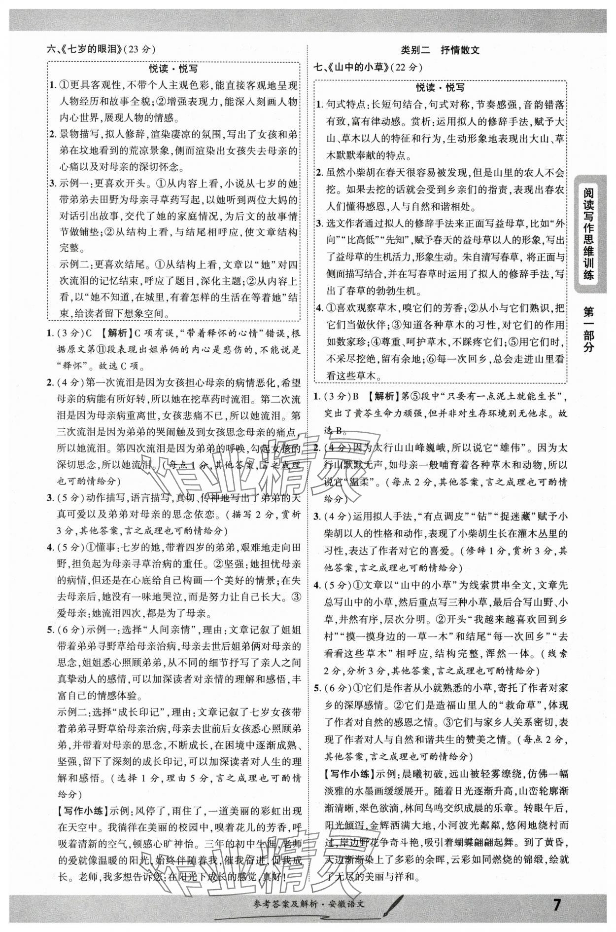 2025年一战成名新中考语文中考安徽专版&nbsp;参考答案第6页