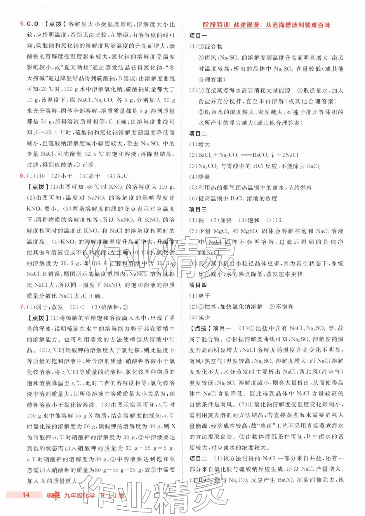 2026年综合应用创新题典中点九年级化学下册鲁教版&nbsp;第14页