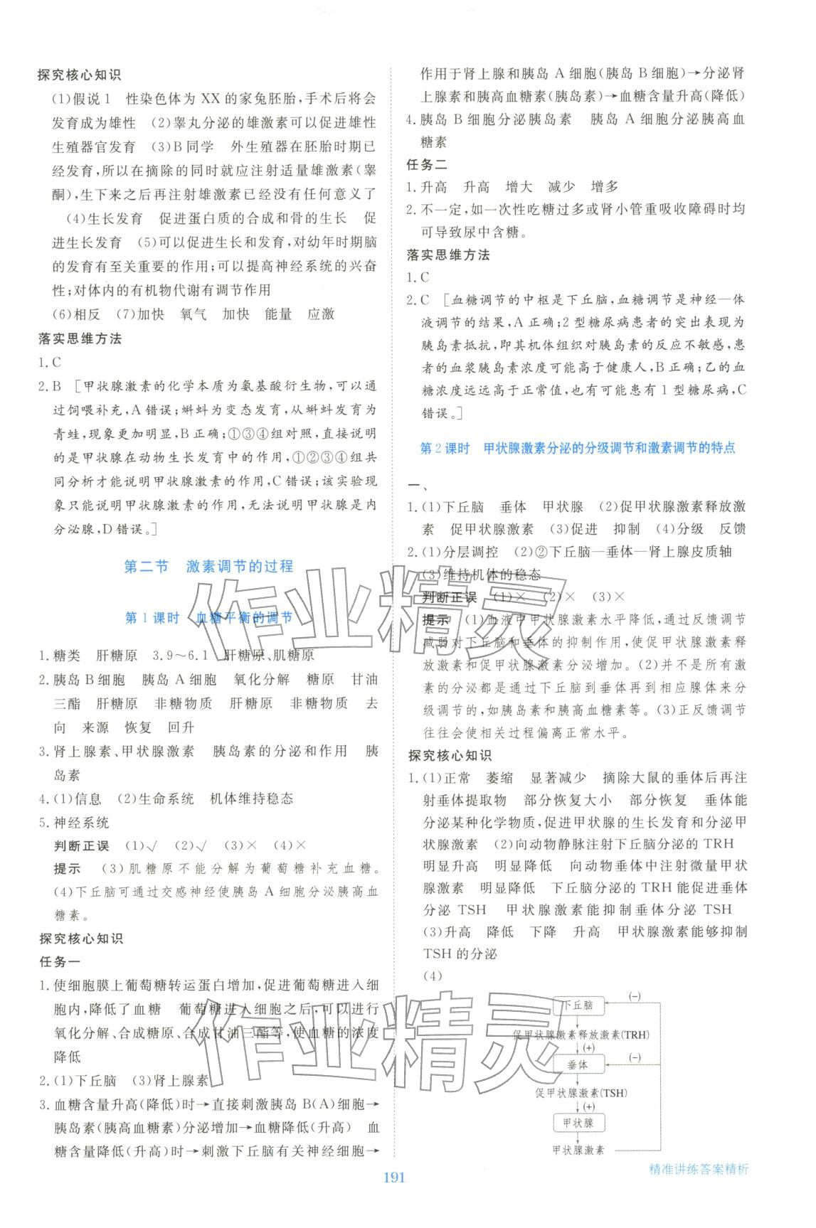 2025年步步高精准讲练生物选择性必修第一册&nbsp;参考答案第10页