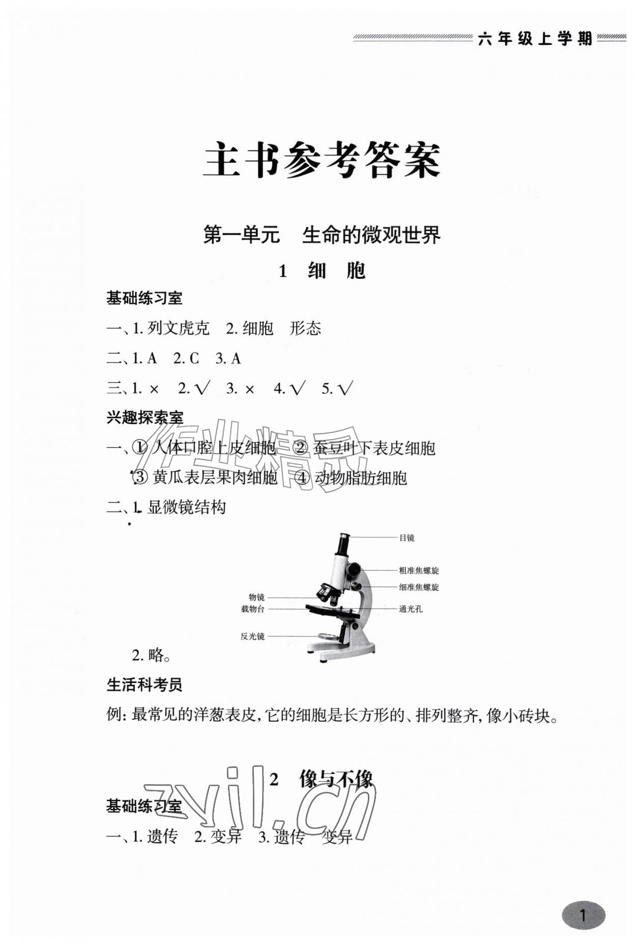 2026年新课堂学习与探究六年级科学上册青岛版&nbsp;第1页