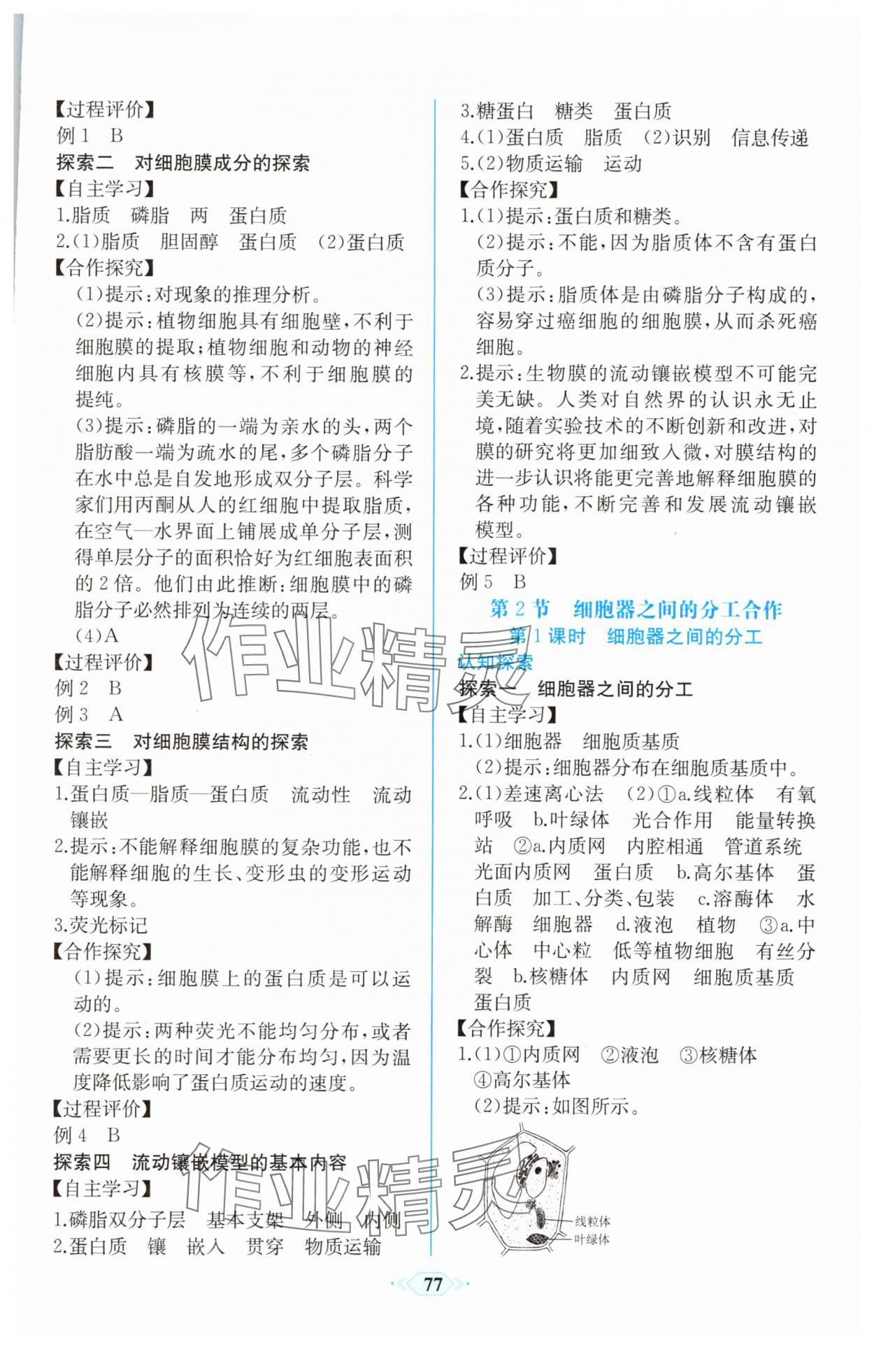 2025年新课程学习评价方案课时练高中必修一生物人教版&nbsp;第7页