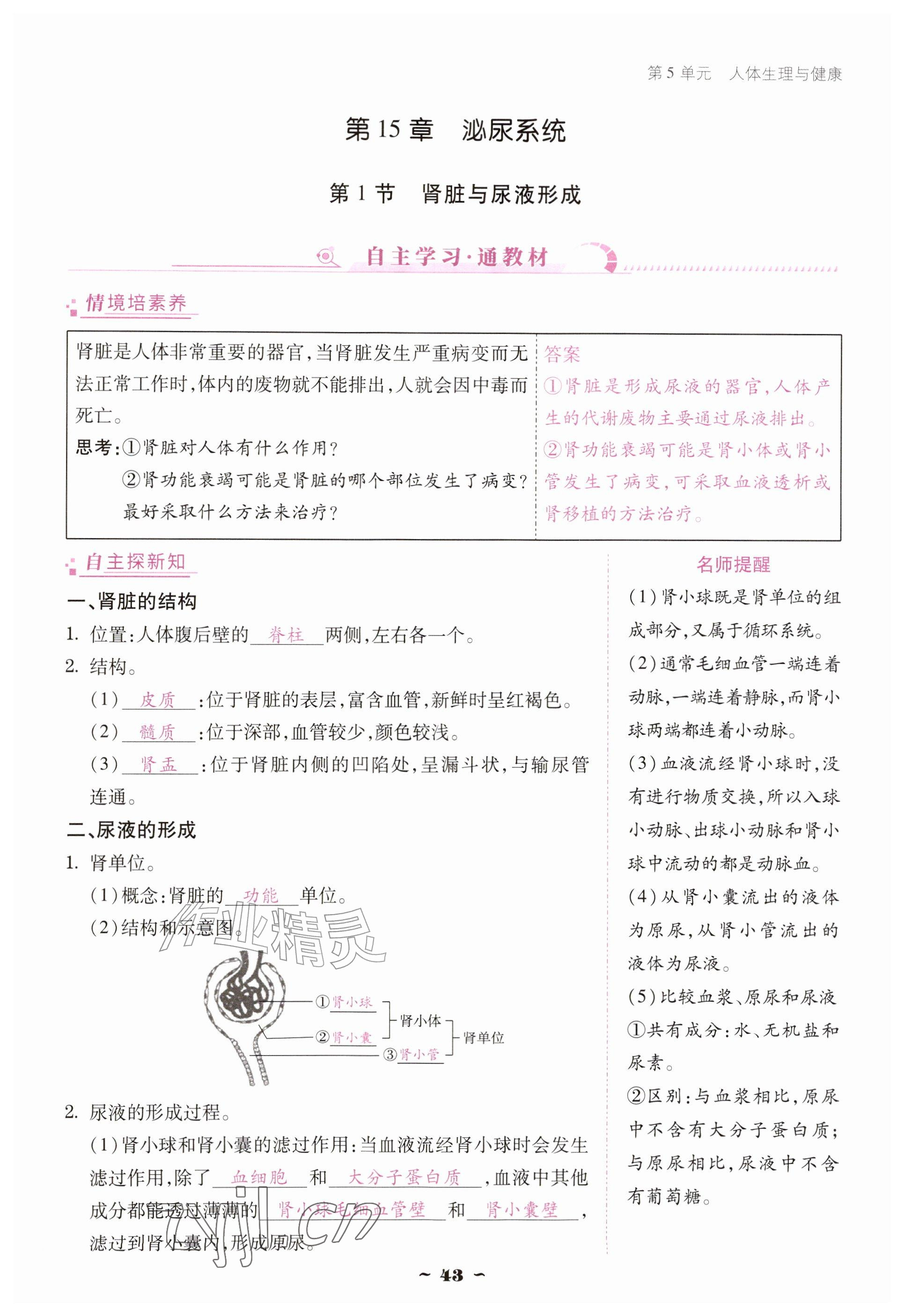 2026年优佳学案（云南）八年级生物上册苏教版&nbsp;参考答案第43页
